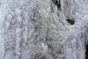 Eiszapfen gefrorenes Eis auf Ästen foto