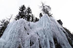 Eiszapfen gefrorenes Eis auf Ästen foto