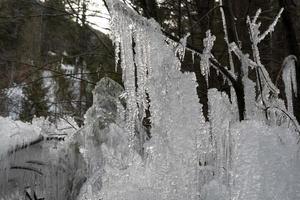 Eiszapfen gefrorenes Eis auf Ästen foto