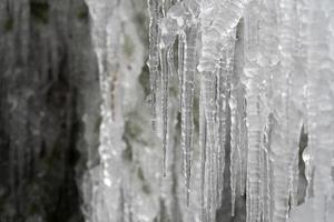 Eiszapfen gefrorenes Eis auf Ästen foto