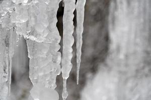 Eiszapfen gefrorenes Eis auf Ästen foto