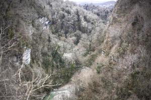 Blick auf bewaldete Berge. Fluss in den Bergen. Landschaft ist natürlich. foto