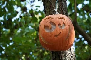 Geschnitzter Halloween-Kürbis, der an einem Baum hängt foto