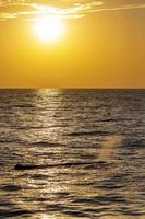 Pottwal bei Sonnenuntergang im Mittelmeer foto