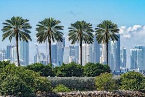 Florida Miami Palm Downtown Panorama Landschaft foto