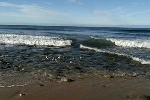 todos santos baja california strand foto