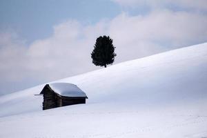 Holzhütte im Winterschneehintergrund foto