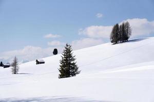 Holzhütte im Winterschneehintergrund foto