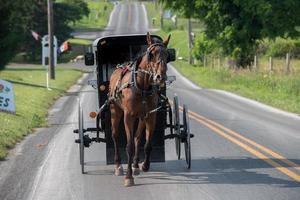 Wagen Buggy in Lancaster Pennsylvania Amish Country foto