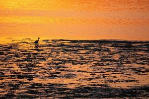 Vendicari-Saline-Vogelreservat bei Sonnenuntergang foto