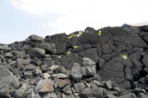 Pico-Azoren-Lavafeld am Meerdetail foto