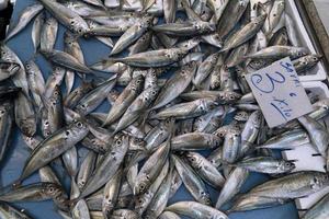 Fischmarkt auf der Straße von Neapel im spanischen Viertel foto