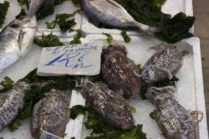 Fischmarkt auf der Straße von Neapel im spanischen Viertel foto