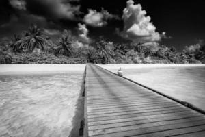 Schwarz-Weiß-Holzbrücke in die paradiesische Insel. tropische Küstenlandschaft, Palmen, weißer Sand, exotische Lagune, Meeresbucht in dramatischem Monochrom. ruhiger reisehintergrund, minimaler dunkel getönter stil foto