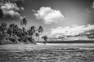 ruhige Strandlandschaft in Schwarz und Weiß. dramatische einfarbige Paradiesinsel inspirieren Meditationsreisehintergrund. palmen weiß sand dunkel himmel kunstvoll wellen entspannen küste. sommer minimal reisen foto