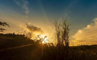 Sonnenuntergang im Wald mit Sonnenlicht foto