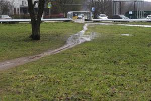 Straße im Park. Regen draußen. Weg durch die grüne Zone. foto