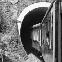 shimla, himachal pradesh, indien - 14. mai 2022 - spielzeugeisenbahn kalka-shimla route, weiter mit der eisenbahn zum hügel, spielzeugeisenbahn von kalka nach shimla in indien inmitten grüner naturwälder foto