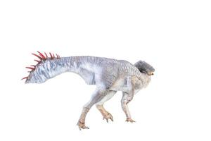 Protoceratops, Dinosaurier auf isoliertem Hintergrund foto