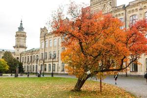 Herbstlandschaft im Park, Universität Kiew foto
