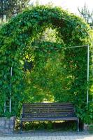 Bank im Herbstpark foto