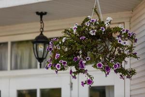 verschiedene Blumen in hängenden Körben an einer Ziegelwand foto