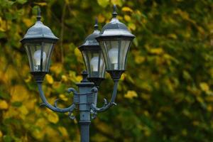 Straßenlaterne vor Bäumen mit buntem Herbstlaub. foto