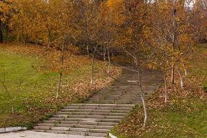 Herbstlandschaft im Park foto