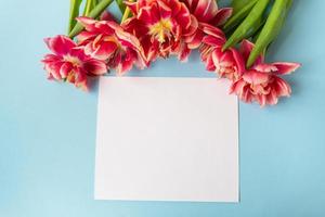 kreative frühlingskomposition aus tulpen mit pastellblauem papier und weißem blatt zur beschriftung. minimales Flat-Lay-Konzept. fertige Postkarte, Banner. foto