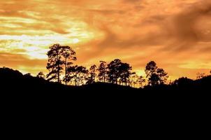 Landschaft über dem Sonnenuntergang foto