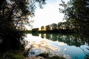 Blick auf einen Wald foto