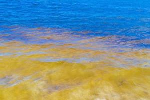 wellen am tropischen strand karibisches meer klares türkisfarbenes wasser mexiko. foto