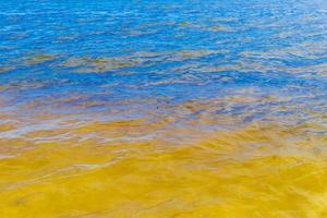 wellen am tropischen strand karibisches meer klares türkisfarbenes wasser mexiko. foto