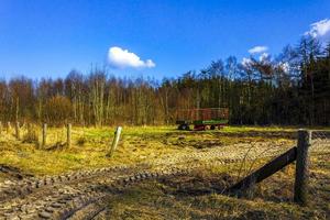 norddeutsches landwirtschaftsfeld windkraftanlagen natur landschaft panorama deutschland. foto