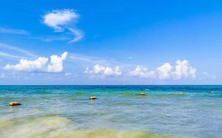 tropischer mexikanischer Strand klares türkisfarbenes Wasser Playa del Carmen Mexiko. foto