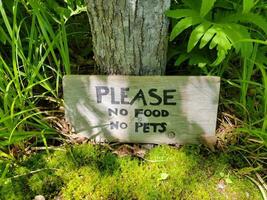 Bitte kein Essen, keine Haustiere Schild am Baum mit Moos foto