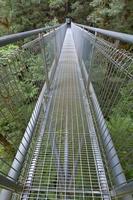 Aufnahme entlang einer Hängebrücke im Great Otway National Park in Südaustralien foto