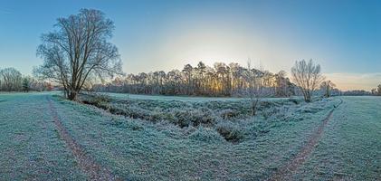 Bild des Winterwaldes, der morgens bei Sonnenaufgang mit Eis bedeckt ist foto