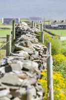 Wiesenzaun aus Natursteinen tagsüber bauen foto