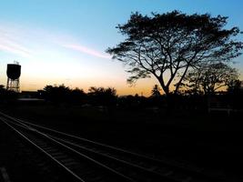 Sonnenuntergang und Silhouette von Bäumen und Eisenbahnschienen. foto