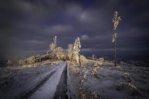 Winterwaldweg in den Bergen foto