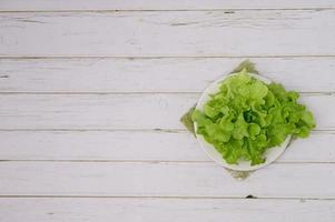 salat grüne eiche gesundes essen foto