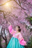 hanbok, das traditionelle koreanische kleid und das schöne asiatische mädchen mit sakura foto