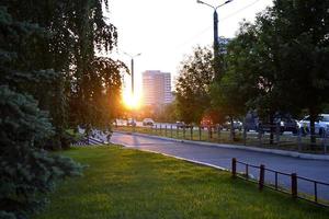 Ein gepflegter Rasen vor dem Hintergrund der untergehenden Sonne in der Stadt. Gras in der Sonne. wunderschöner Sonnenuntergang. foto