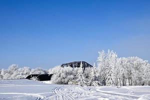 eine Eisenbahnbrücke, die von frostbedeckten Bäumen verdeckt wird foto