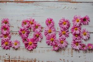 Chrysantheme im Hintergrund. Text. Liebe. flache Position, Ansicht von oben foto