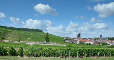 Weinberglandschaft in Oger in der Nähe von Epernay in der Champagne, Frankreich foto