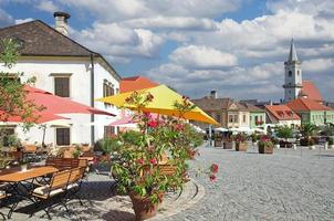 Dorf Rust, Neusiedler See, Burgenland, Österreich foto