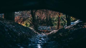 Wasser unter einer Brücke foto