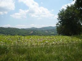 schöne naturlandschaft im sommer. Blick auf landwirtschaftliche Felder foto